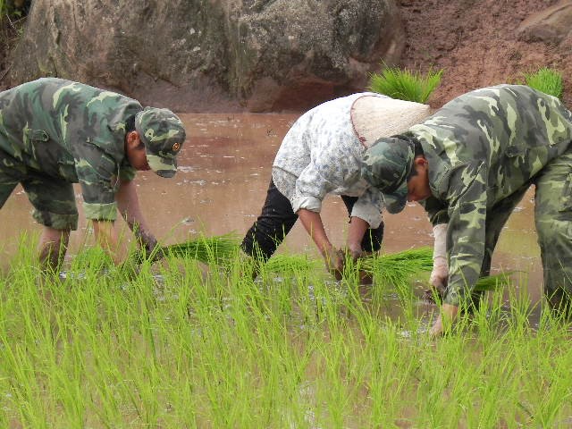Cờ Tổ quốc nối biển đảo với biên cương - ảnh 7